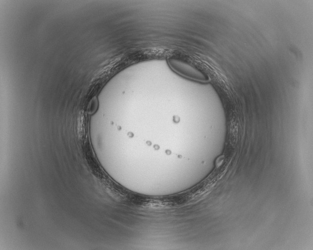 X0000116150416200912071308