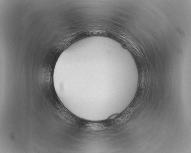 X0000116150417200912071308