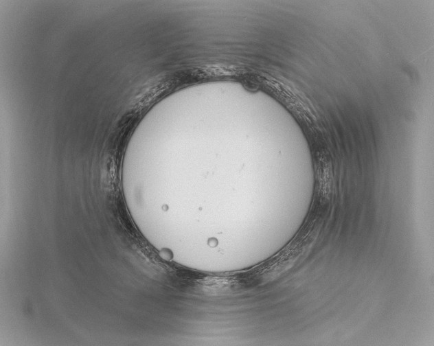 X0000116150418200912071308