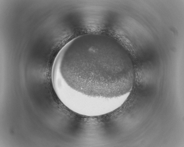 X0000116150419200912071308