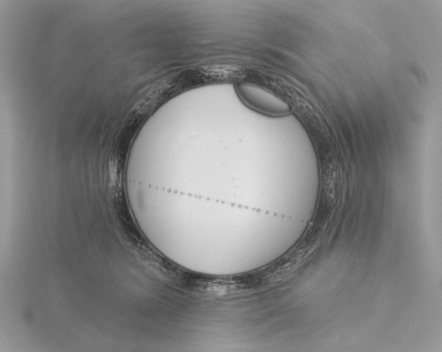 X0000116150420200912071308