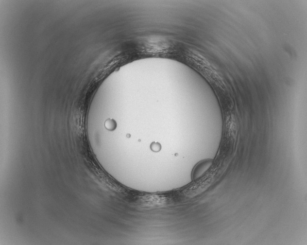 X0000116150421200912071308