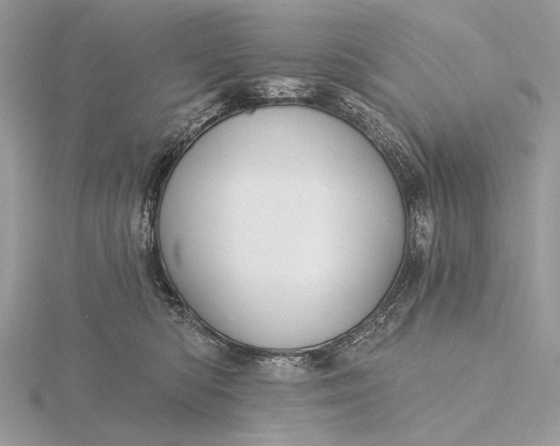 X0000116150422200912071308