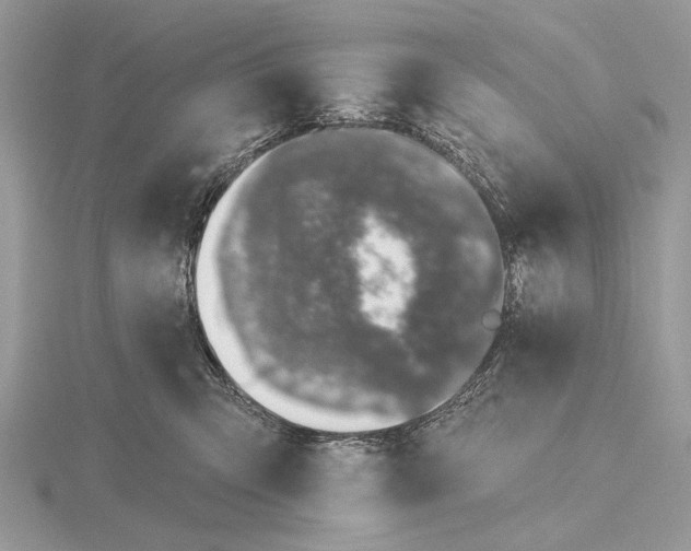 X0000116150423200912071308