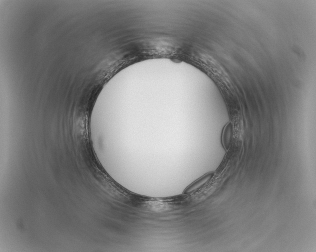 X0000116150425200912071308