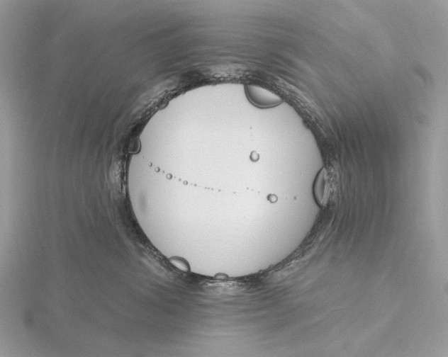 X0000116150428200912071308