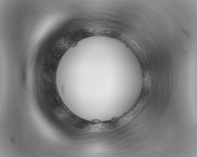 X0000116150430200912071308