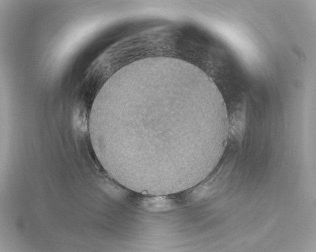 X0000116150431200912071308