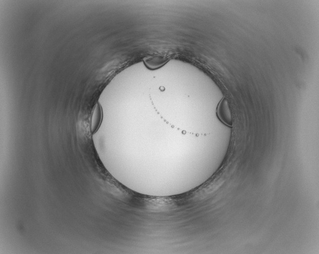 X0000116150432200912071308