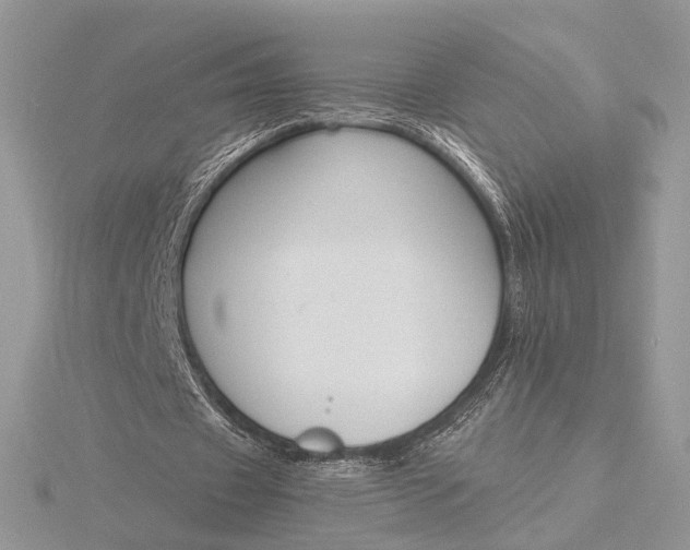 X0000116150433200912071307