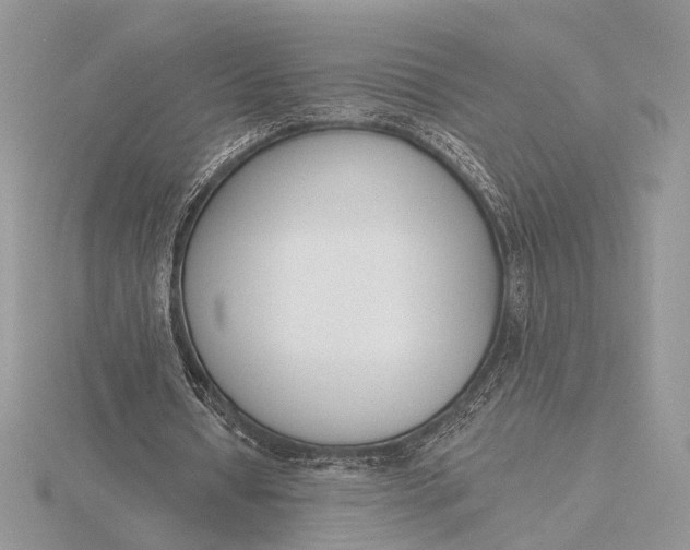 X0000116150434200912071307