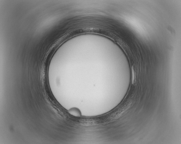 X0000116150435200912071307