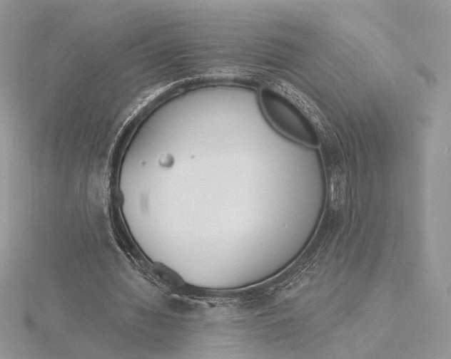 X0000116150436200912071307