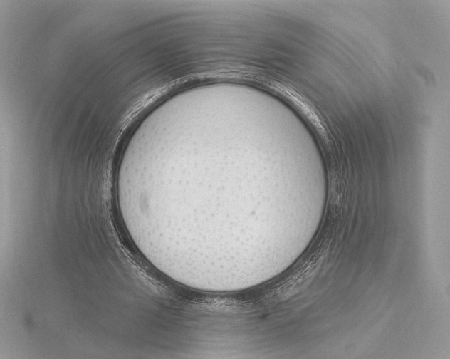 X0000116150437200912071307