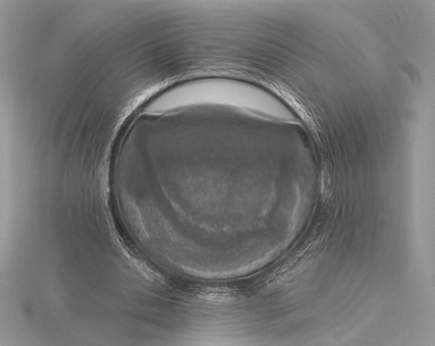 X0000116150438200912071307