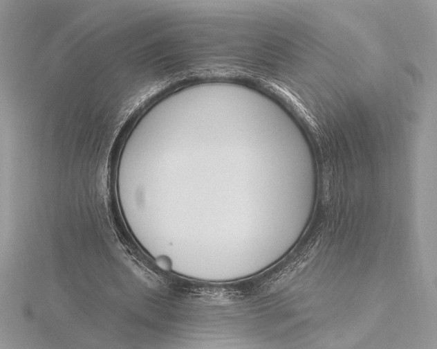 X0000116150439200912071307