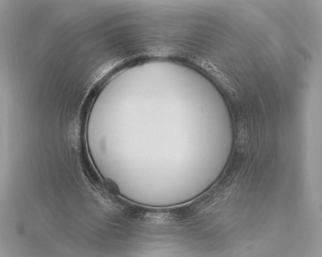 X0000116150440200912071307