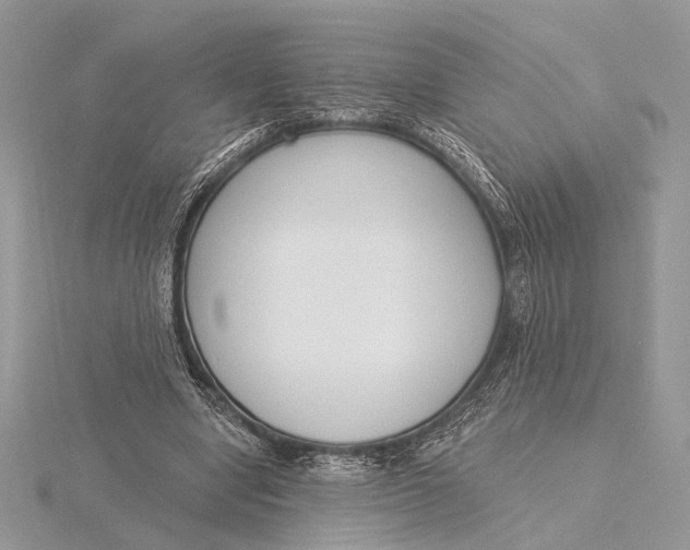 X0000116150442200912071307