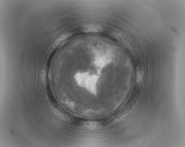 X0000116150444200912071307