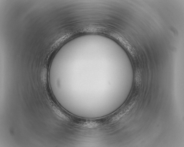 X0000116150445200912071307