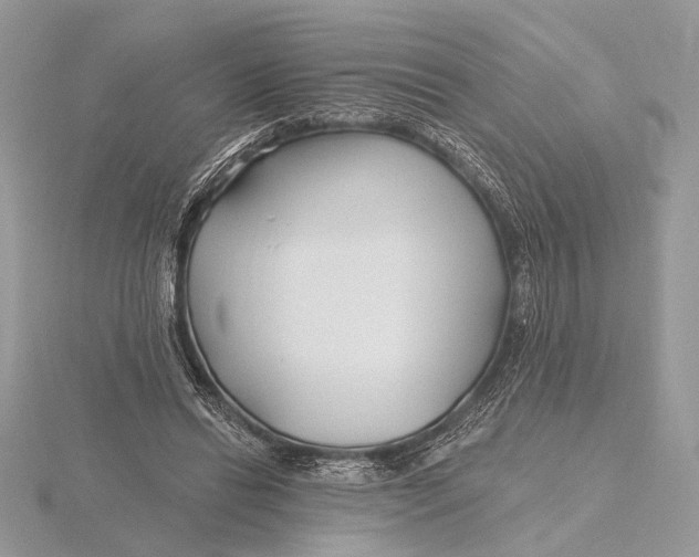 X0000116150446200912071307