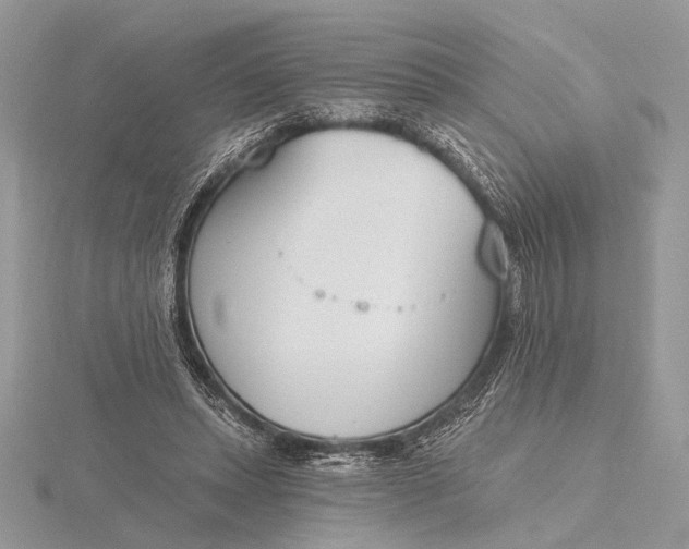 X0000116150447200912071307