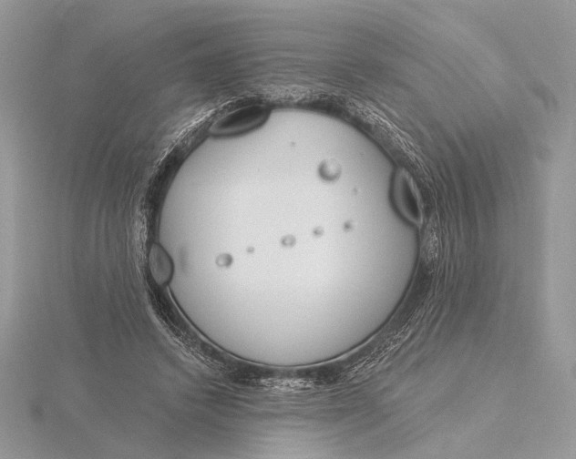 X0000116150448200912071307