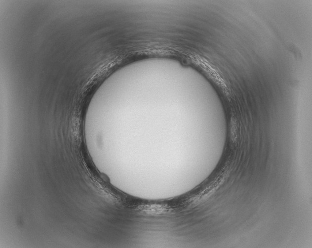 X0000116150449200912071307