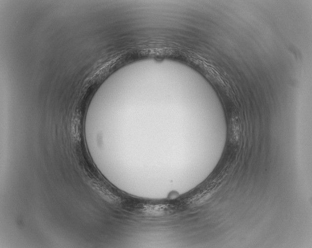 X0000116150450200912071307