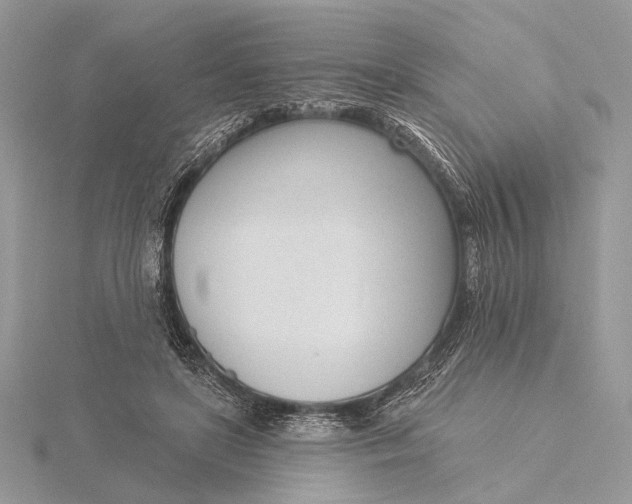 X0000116150451200912071307