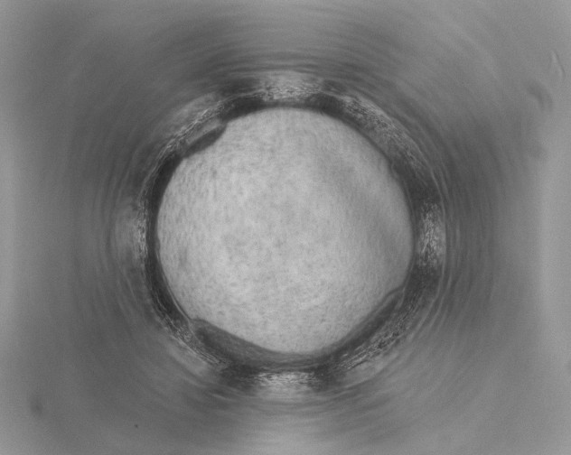 X0000116150452200912071307