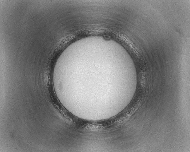 X0000116150455200912071307