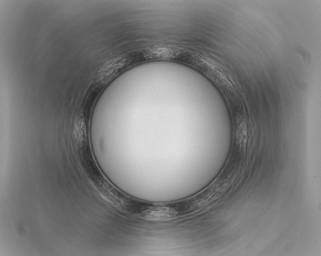 X0000116150459200912071307