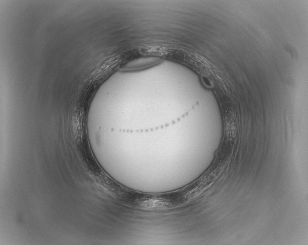 X0000116150460200912071307