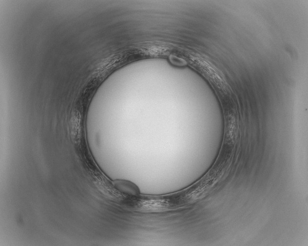 X0000116150461200912071307