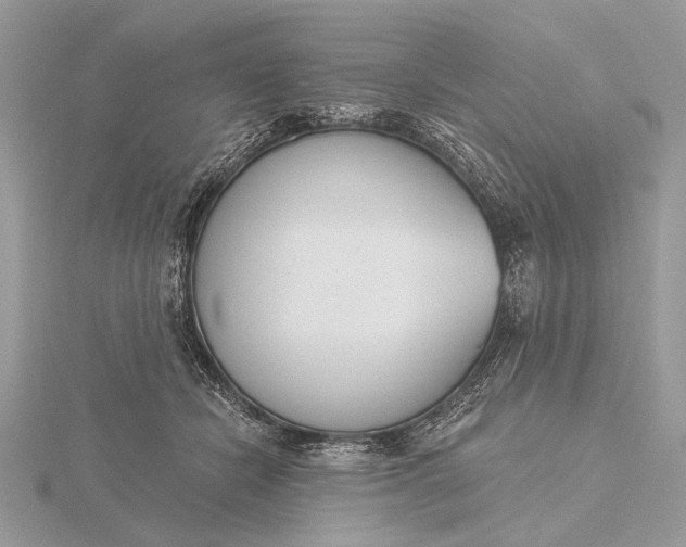 X0000116150462200912071307