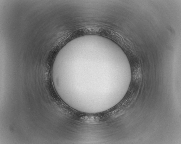 X0000116150464200912071307