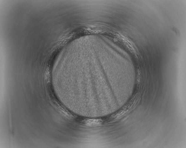 X0000116150465200912071307