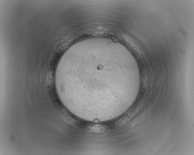 X0000116150467200912071308