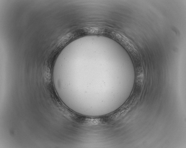 X0000116150469200912071308