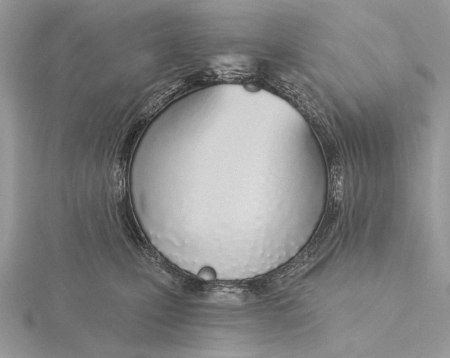 X0000116150471200912071308