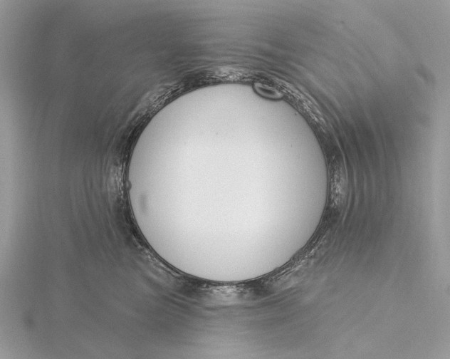 X0000116150473200912071308