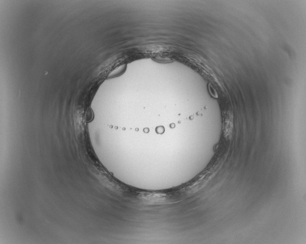 X0000116150476200912071308