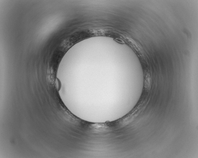 X0000116150477200912071308