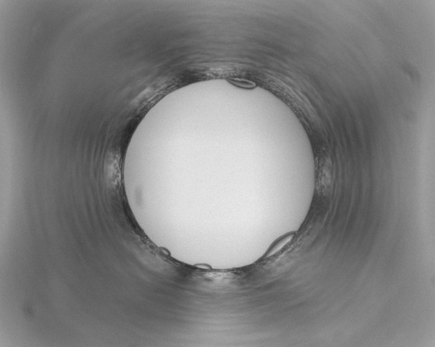 X0000116150478200912071308