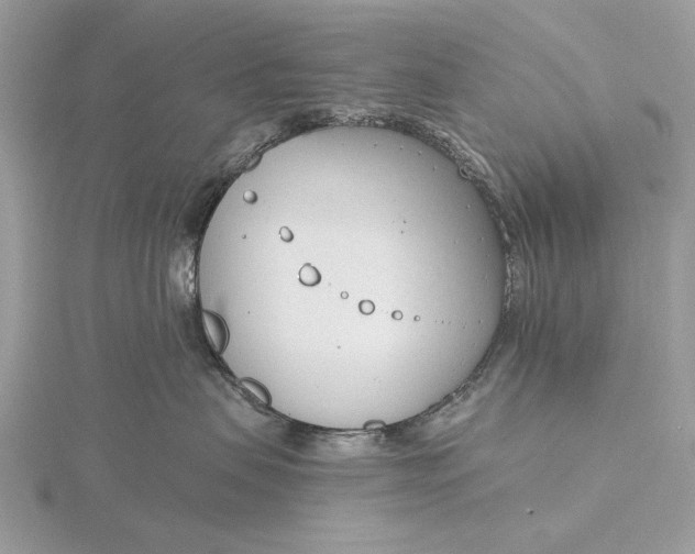 X0000116150479200912071308