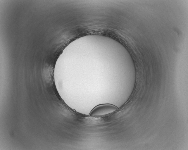 X0000116150480200912071308