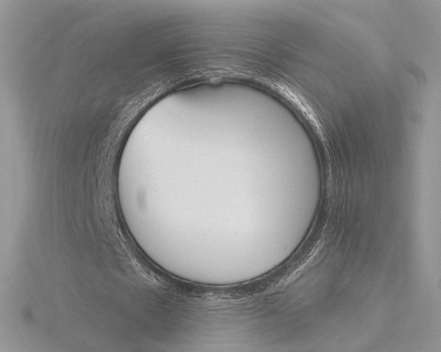 X0000116150481200912071307