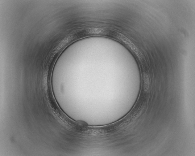 X0000116150482200912071307