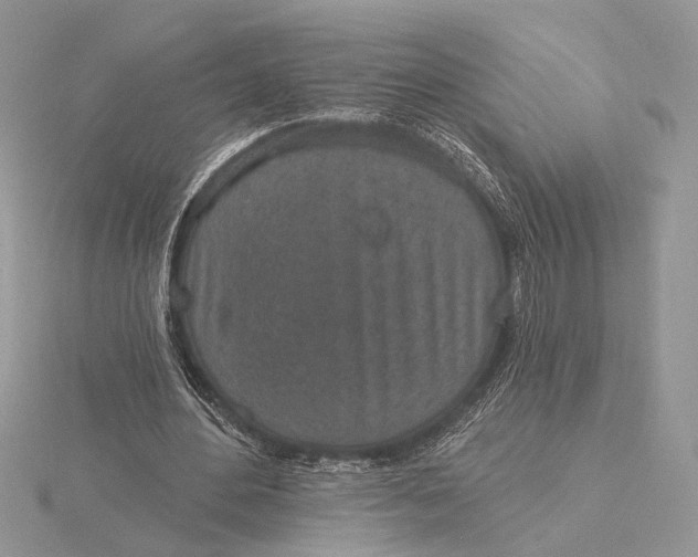 X0000116150484200912071307